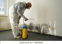 Best Commercial Mold Inspection in USA